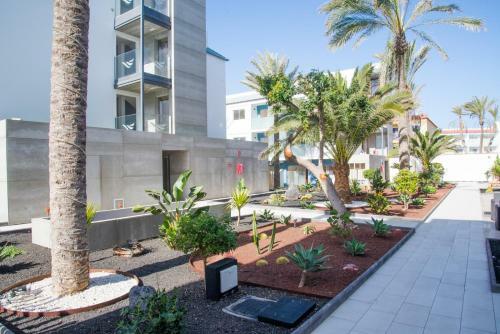 Apartment Pardela
