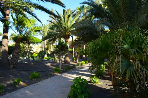 Apartamento Atlantic Garden 238