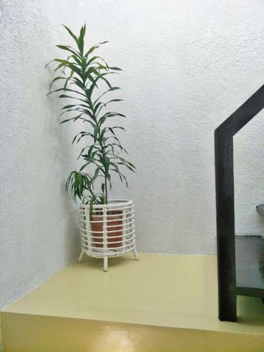 Monette's Fully Furnished Apartment With 2 Bedrooms