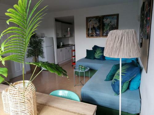 Oasis Waves House