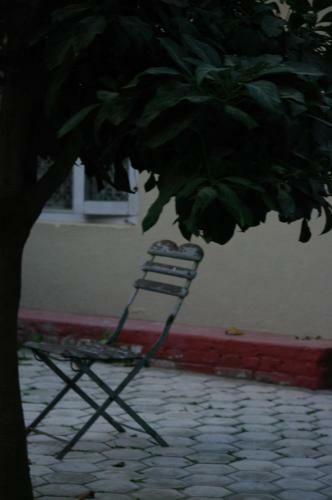 Hostal Laughing Buddha Hotel & Garden Theater