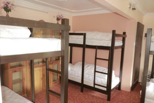 Birds Nest Hostel