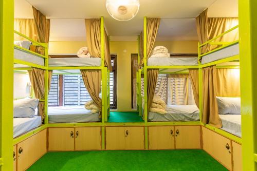 Big Tree Hostel