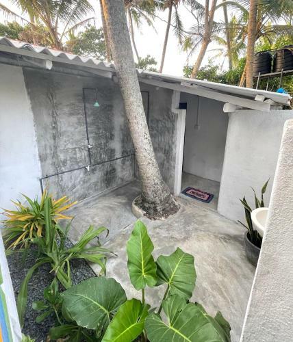 Hello Beach Hostel