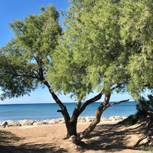 Villa Denia Costa Blanca