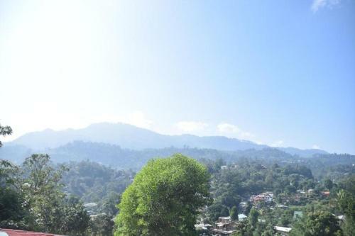 Hostal Mountain Top Guest