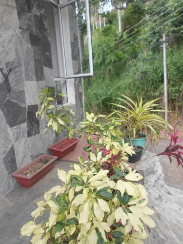 Nelson Grand Boutique Hotel