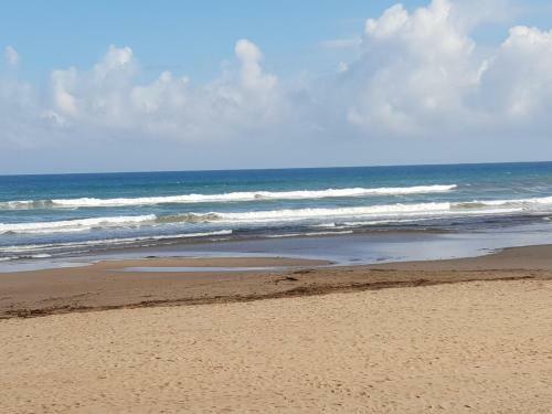 Apartamento Mar Y Sol, D�nia