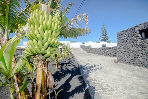 Agroturismo Casa Los Veroles Lanzarote