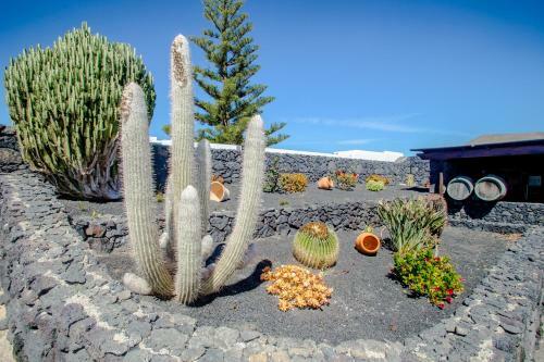 Agroturismo Casa Los Veroles Lanzarote