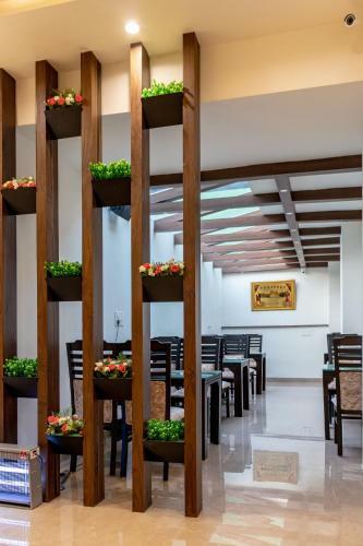 Hotel de Manora Homes Best Homestay Studio Apartments