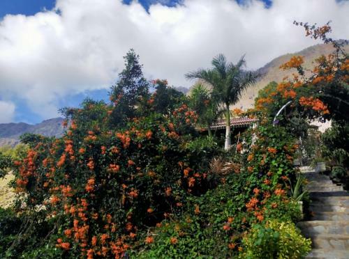Rivendell, The Moon's Cradle