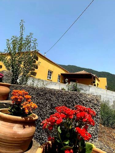 Apartamento Casa Nimar