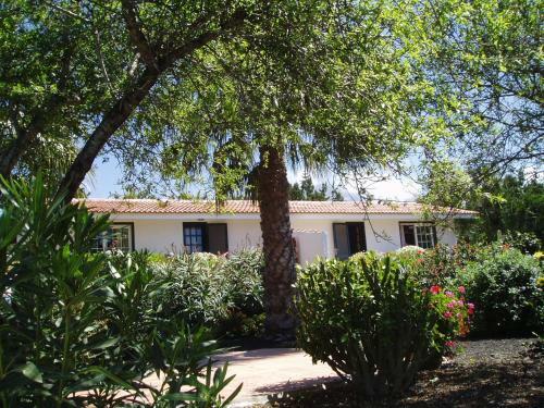 Apartamento Casitas Vista Valle Alto