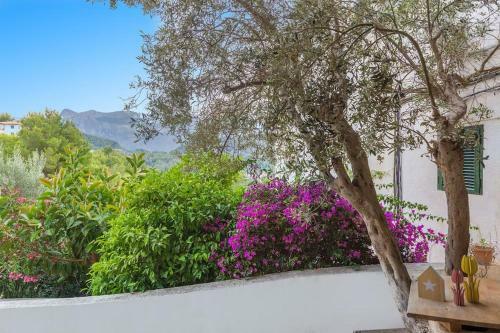 Apartamento Bellavista 22