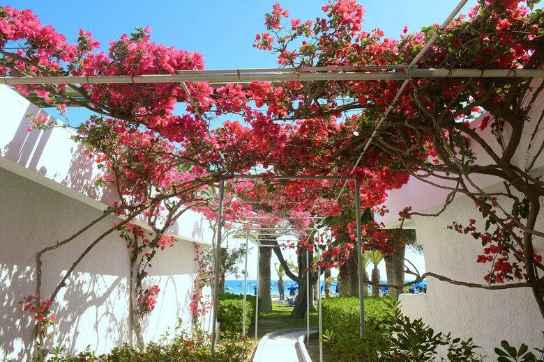 Hotel Blue Horizon