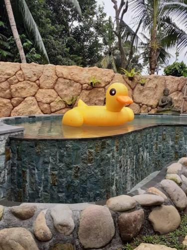 Villa Kayu81- Beautiful Pool Vila Ubud Mountain View 2br
