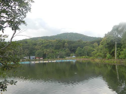 Zamaraya Bed & Breakfast