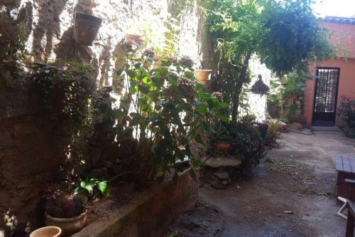 Casa Rural Con Patio, El Tiemblo Avila