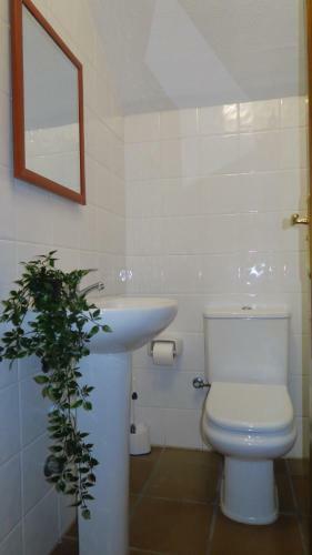 Apartamento Ohana Adosado El M�dano
