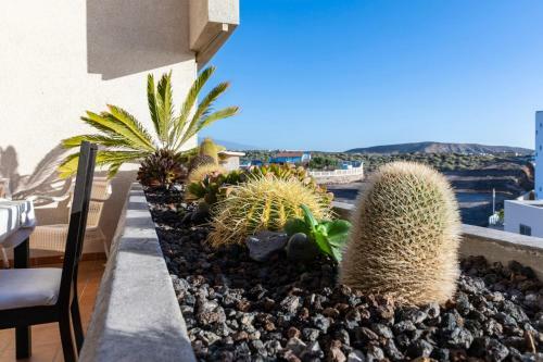 Apartamento The Rosuca Apt - By Medano4you