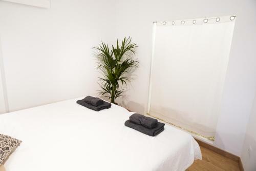 Apartamento Wind House