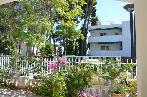 Carrasqueta