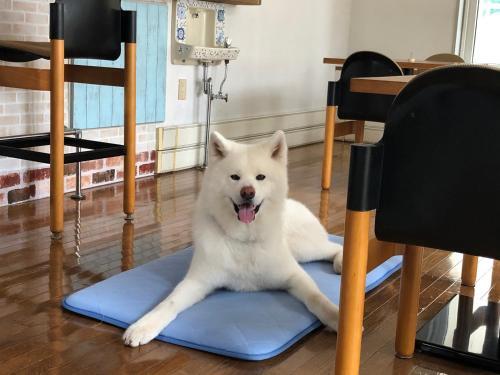 Bed & Breakfast ???????????