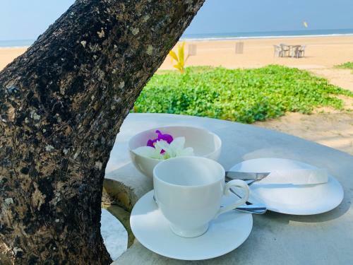 Hotel Anveela