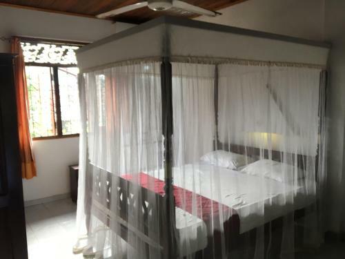 Hostal Little Peradise Guest House