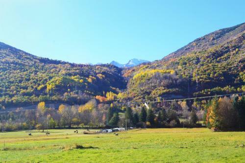 Apartament Acollidor Amb UNA Gran Llar de Foc