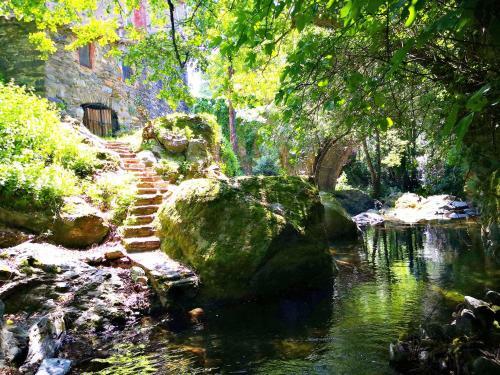Agroturismo El Moli Del Montseny