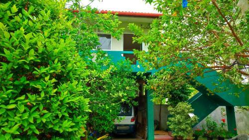 Hostal Villa Dragon House