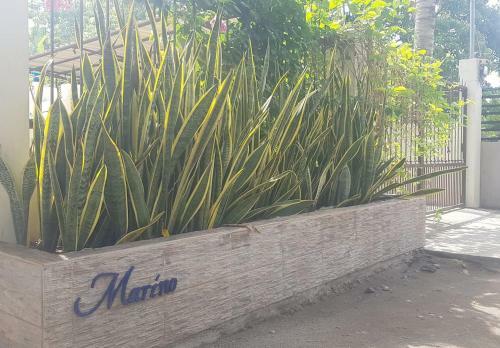 Hostal Marino Bungalows