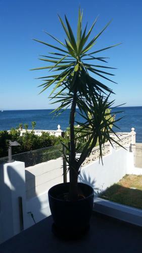 Beach-front Bahia Dorada