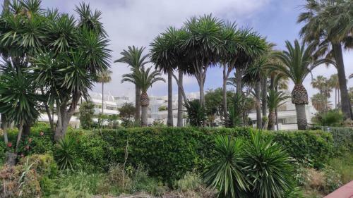 Apartamento Casa Cachita-en 1� L�nea de Playa