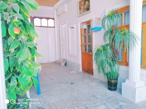 Hostal Ali Nur