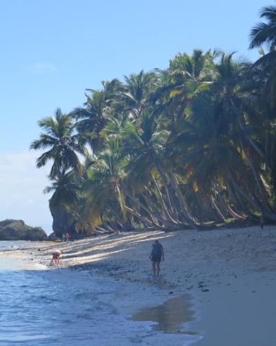 Hotel El Marinique