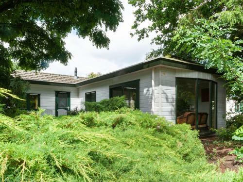 Beautiful Chalet With Swimming Pool In Stegeren