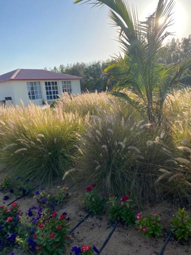 Agroturismo Al Ghoroub Farm Stay - ????? ?????? ??????? ??????
