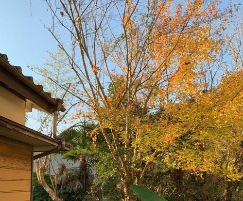 Hostal Hoshiyama B Extra For Pets - Vacation Stay 13934v