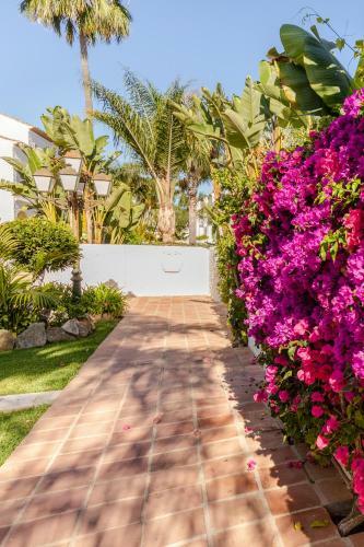 Apartamento Confortable Urbanizaci�n El Paraiso