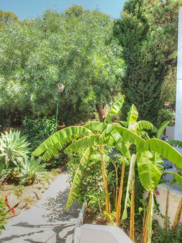 Cristos Beach Apartment