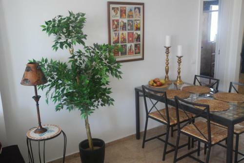 Apartamento Reina Sofia 45