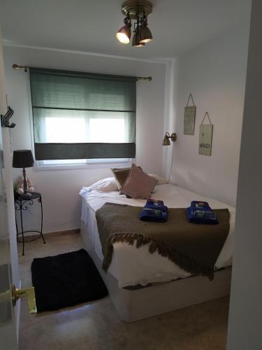 Apartamento Reina Sofia 45