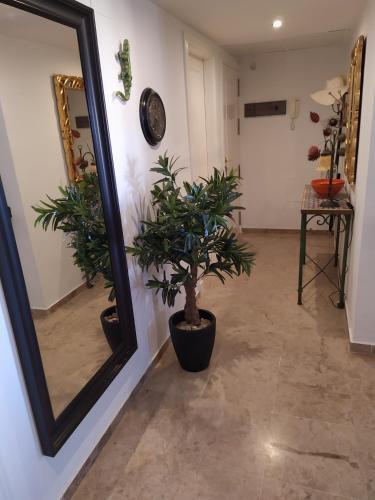 Apartamento Reina Sofia 45