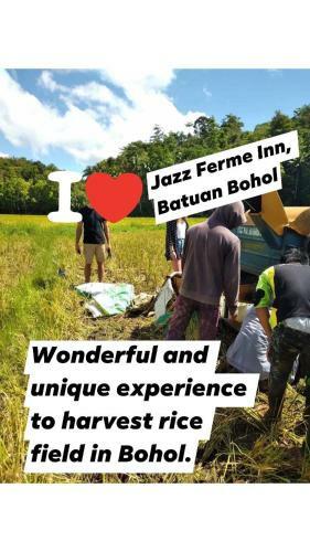 Apartamento Jazz Ferme Inn Batuan Bohol