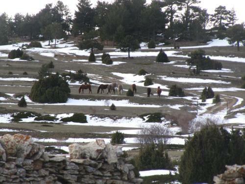 Agroturismo Casa Rural La Sabina