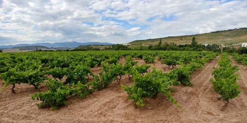 Apartamento Entrevi�as En El Coraz�n de La Rioja