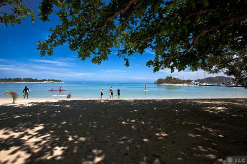 Hotel Musket Cove Island Resort